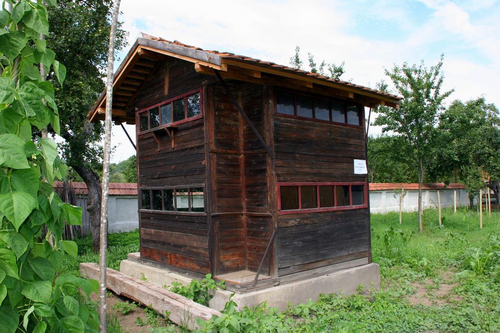 Transylvania Guesthouses Cincsor Exterior foto